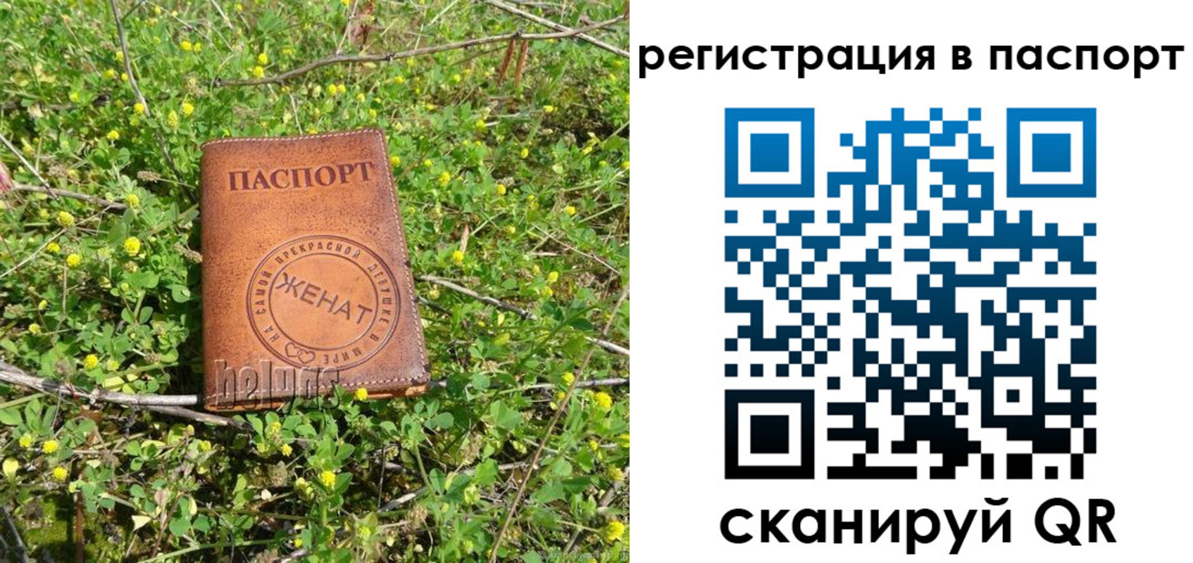 прописка законно в Красновишерске